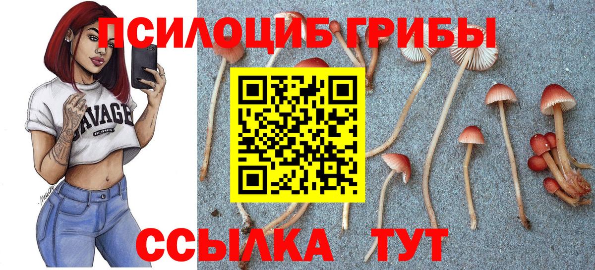 Галлюциногенные грибы Cubensis  Вход с VPN  Псилоцибиновые грибы прущие грибы  Чехов 