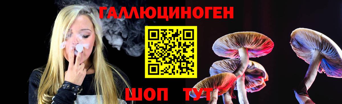 Псилоцибиновые грибы Cubensis Чехов